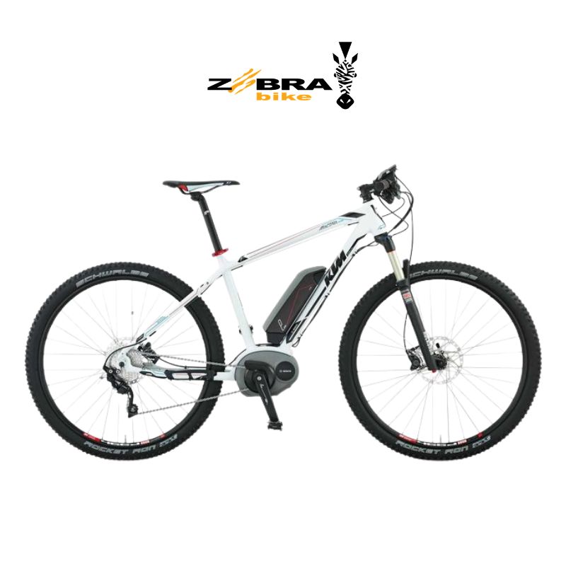 E-Bike hardtail
